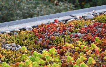 the cost of Deblins Green green roof installation