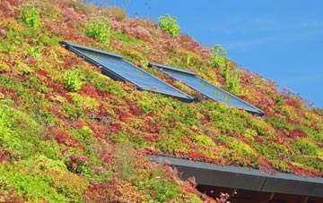 Deblins Green living roof systems
